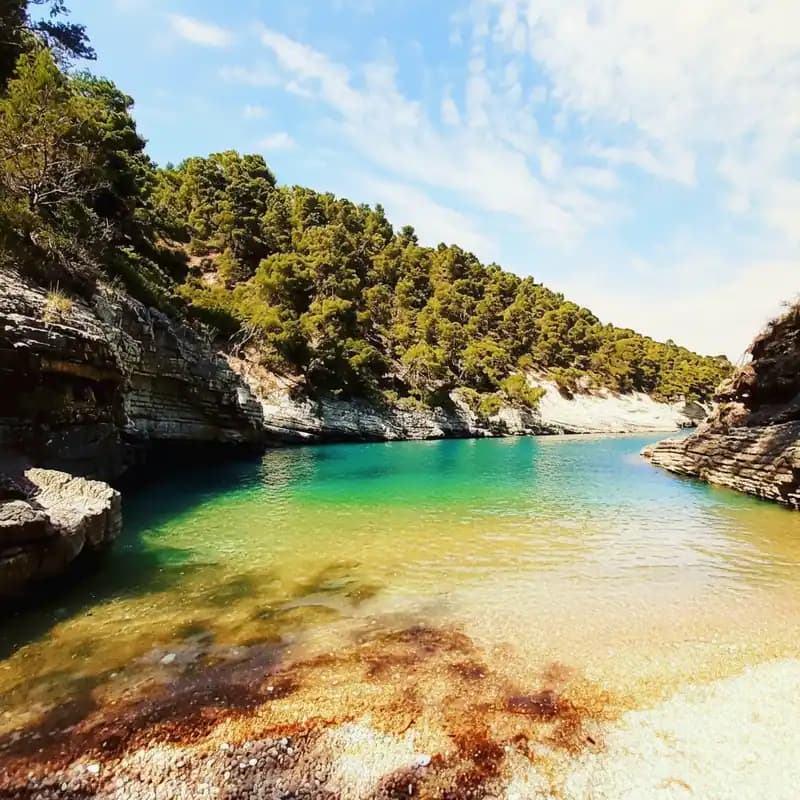Cala della Sanguinara Beach — Beach (free-access)