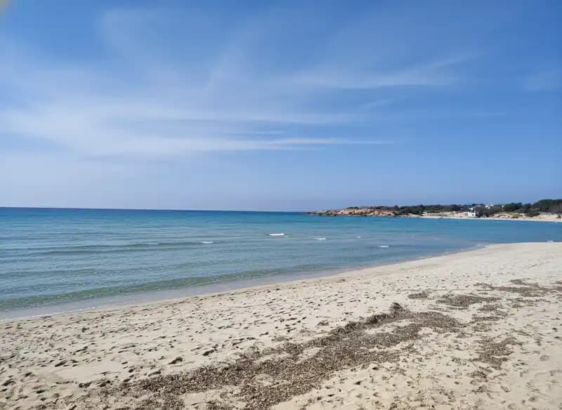 Caribbean — Beach (free-access)