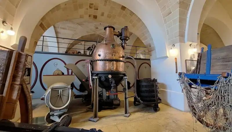 Museo della Civiltà del Vino Primitivo — Manduria