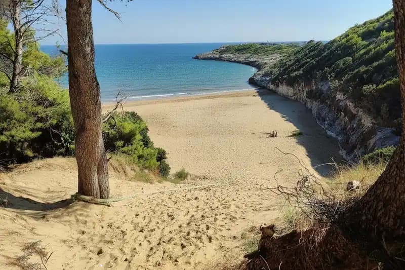 Plage Stretta — Plage (accès libre)