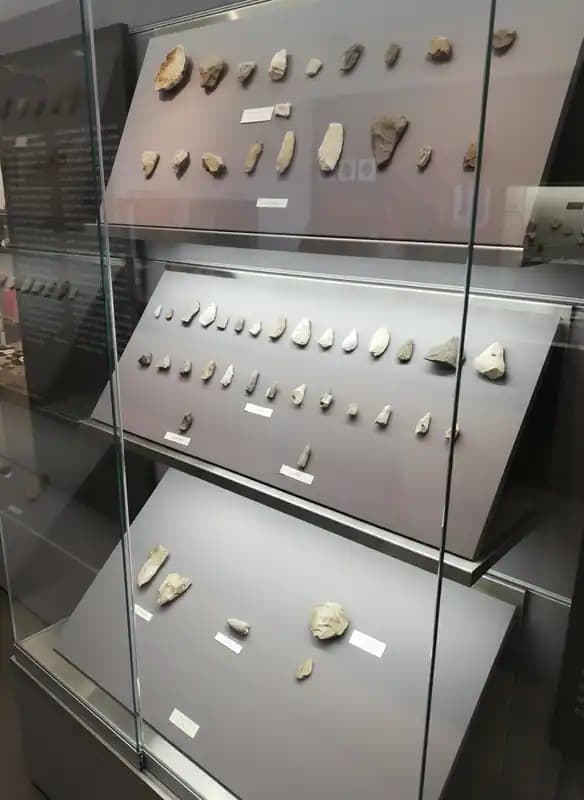 Museo della Preistoria di Nardò — Nardò