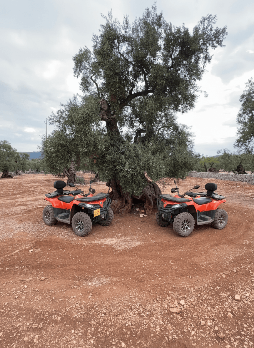 Noleggio Quad Puglia — Monopoli