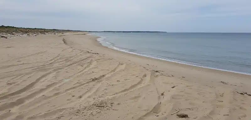 Plage de Morella — Plage (accès libre)