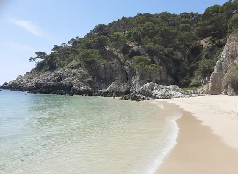 Plage de Cala delle Arene — Plage (accès libre)