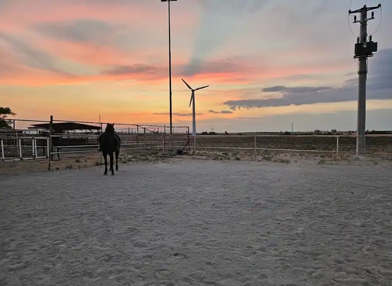 Centro Ippico Horseland — Foggia