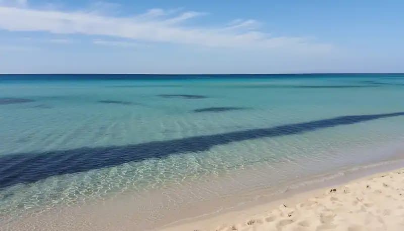 Plage du Chidro — Plage (accès libre)