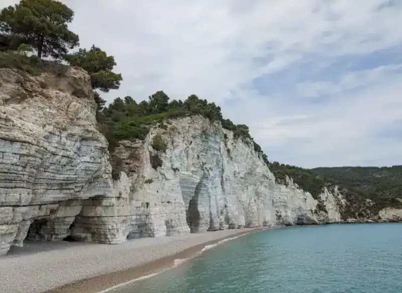 Parco Nazionale del Gargano — Festival: Live Music / Concerts
