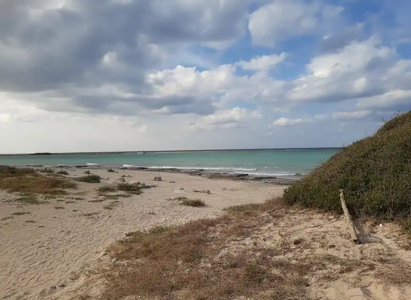 Bacino di Torre Chianca — Porto Cesareo