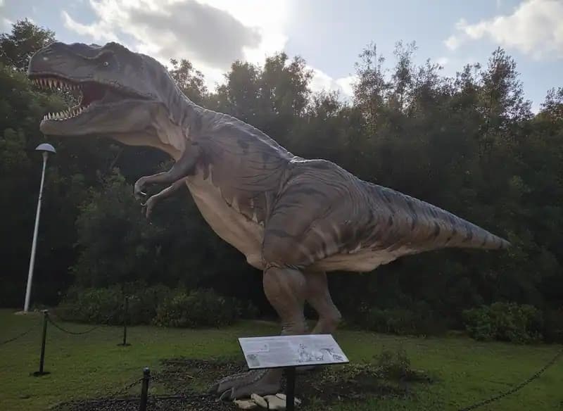 Museo di Storia Naturale del Salento — Musei