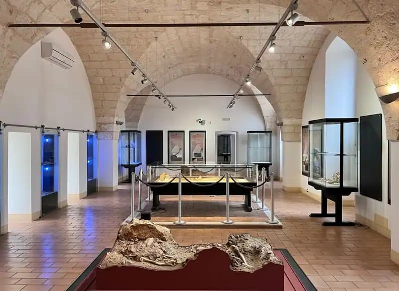 Museo di Civiltà Preclassiche della Murgia Meridionale — Ostuni