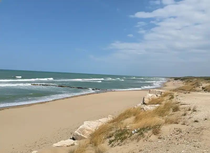 Marina di Chieuti Beach — Beach (free-access)