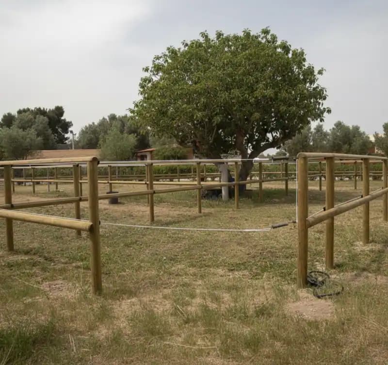 ASD Circolo Ippico Giuliana — Faggiano