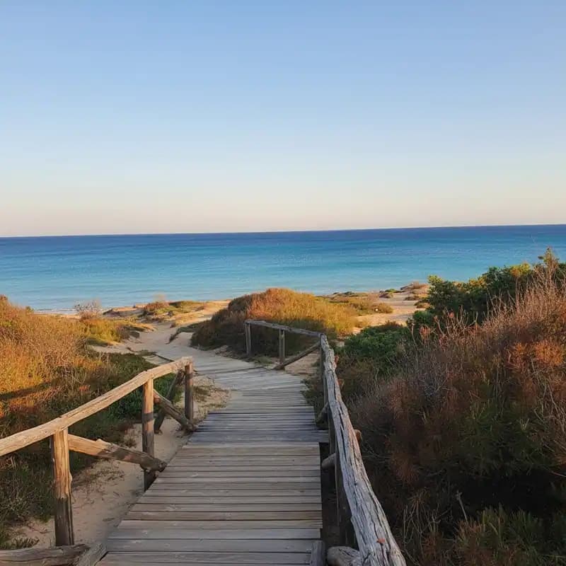 Campomarino Dunes — Campomarino