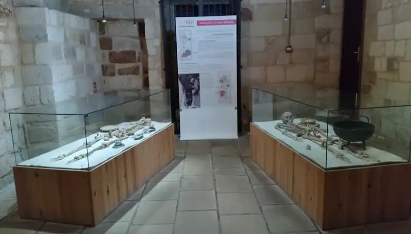 Museo archeologico della civiltà Messapica di Vaste — Poggiardo