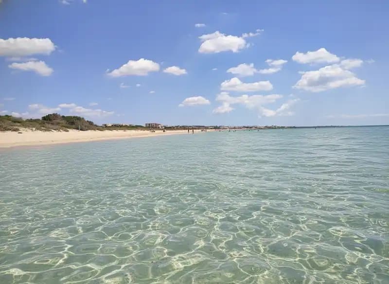 Punta Macolone Beach — Beach (free-access)