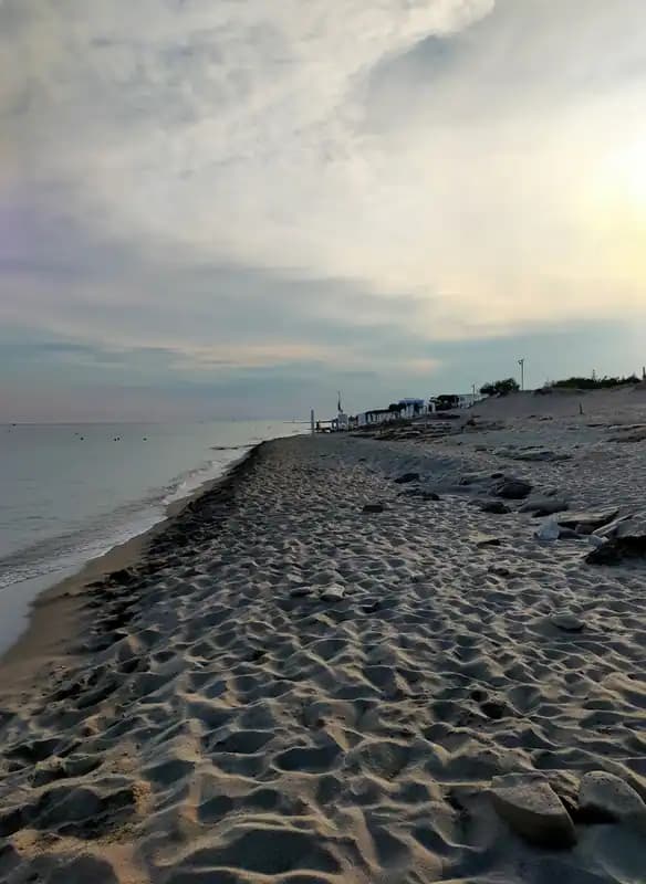 Commenda Beach — Beach (free-access)