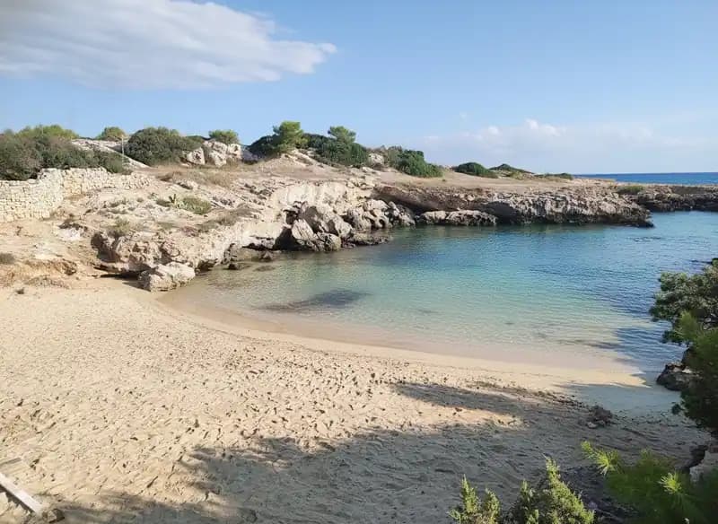 Cala Verde Beach (Punta Bellis) — Festival: Live Music / Concerts