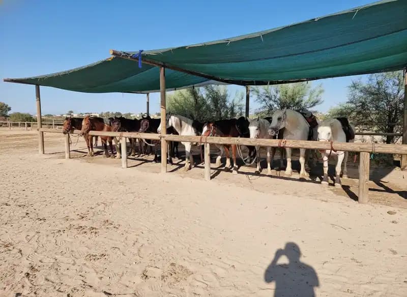 Manège Sette Nani — Porto Cesareo