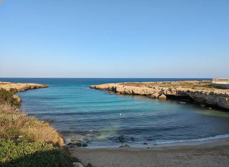 Cala Susca — Beach (free-access)
