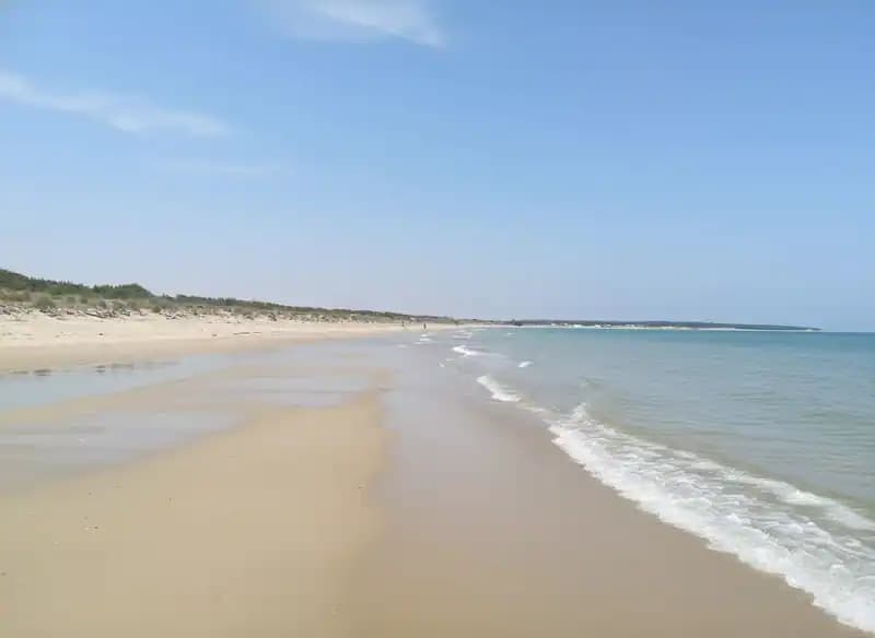 Pennacchio Beach — Beach (free-access)