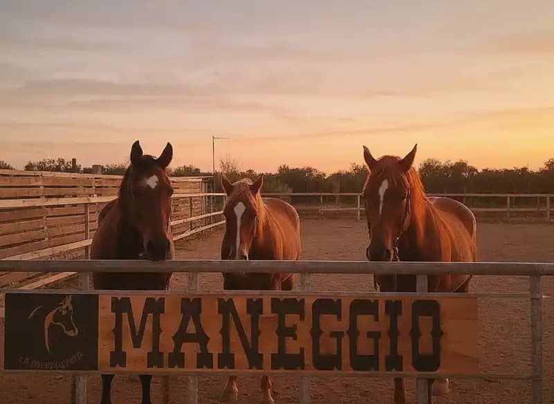 Ranch La Differenza — Bitetto