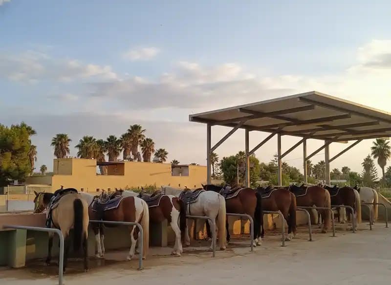 Salento EquiClub — Torre San Giovanni