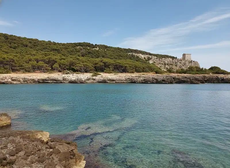 Porto Selvaggio Beach — Beach (free-access)
