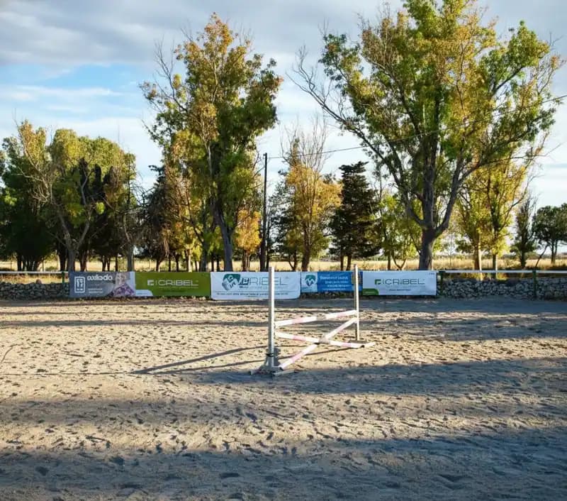 Centro Ippico Argentone — Palombara Piccola