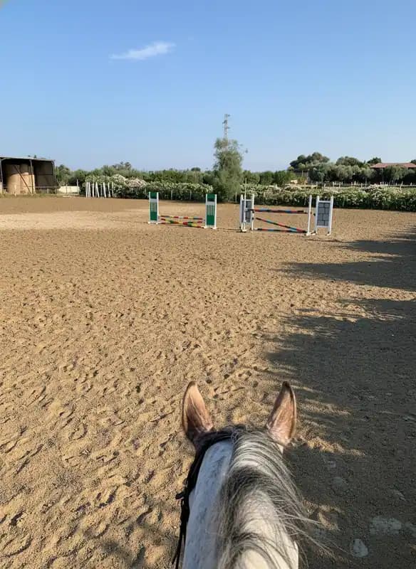 Circolo Ippico San Nicola — Bari