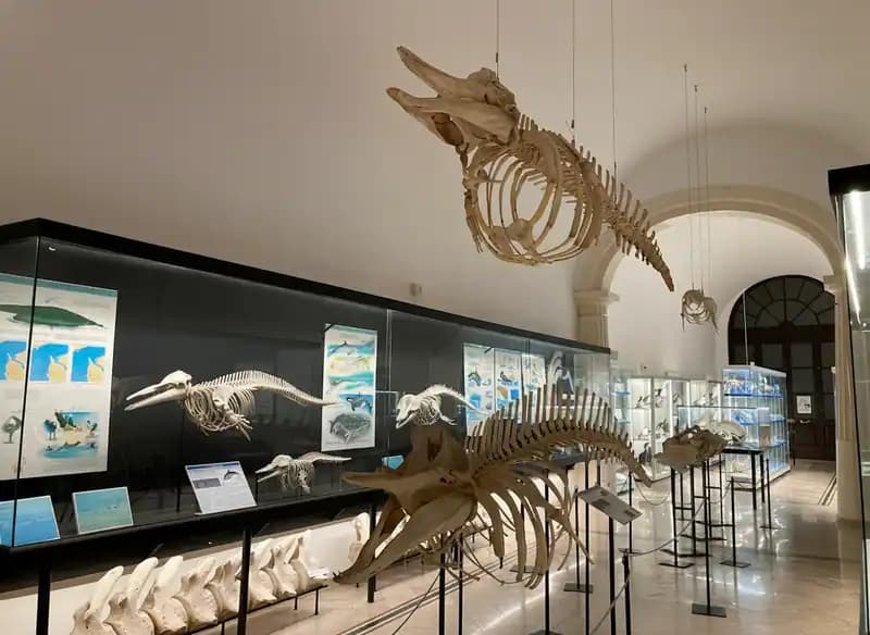 Museo del Mare — Gallipoli