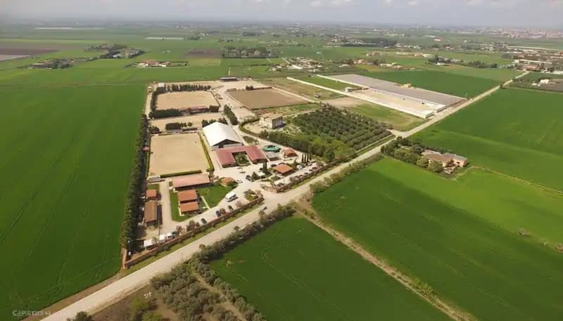 Circolo Ippico Equitare a.s.d. — Foggia