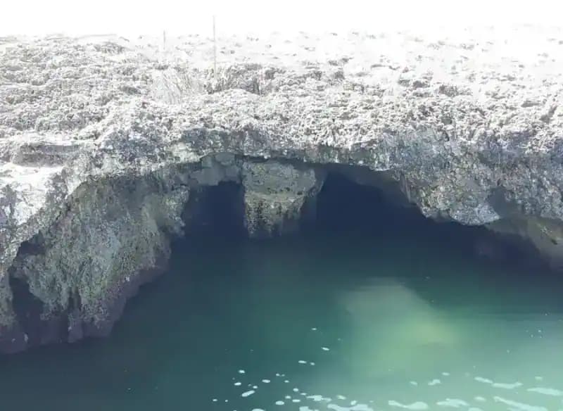 Grotta di Cala di Trabucco — Buchpräsentationen