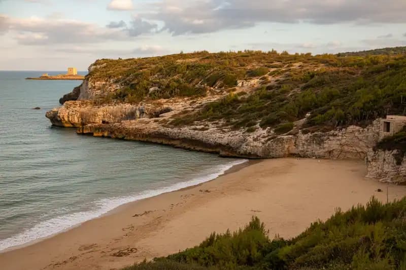 Cala del Turco Beach — Beach (free-access)