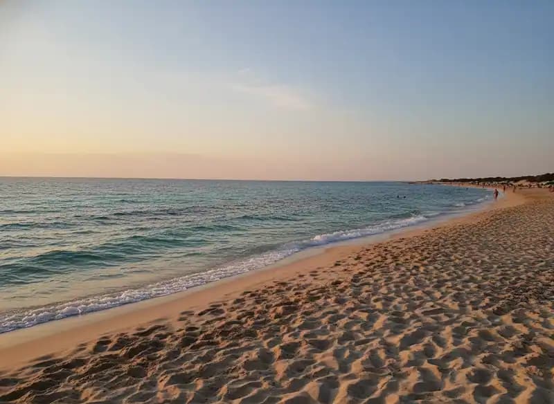 Torre Colimena Beach — Beach (free-access)