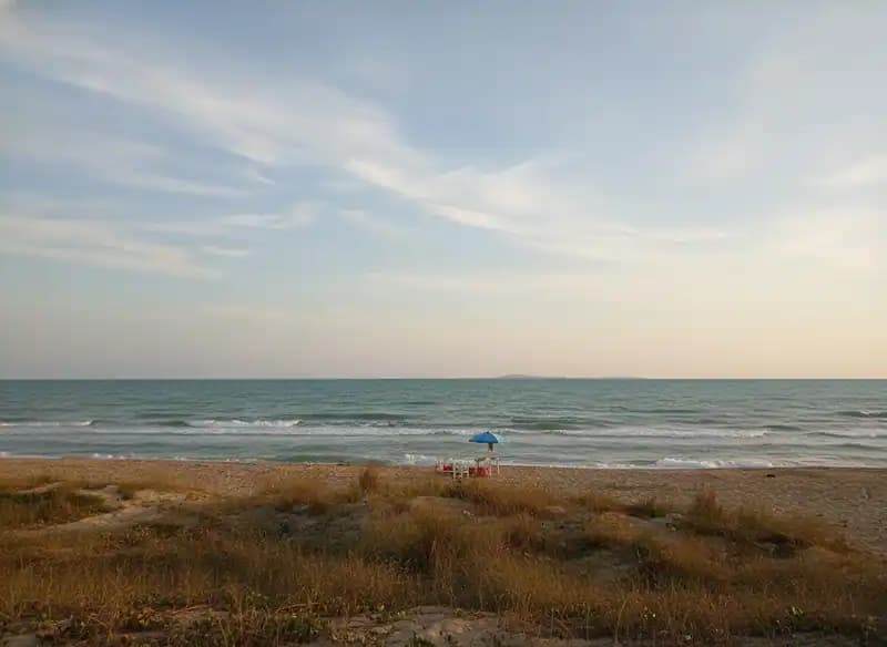 Tammaricella Beach — Beach (free-access)