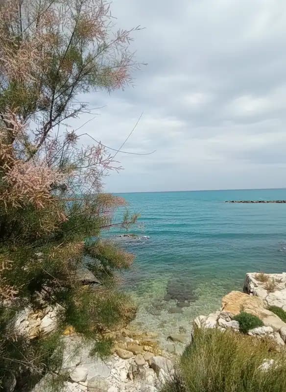 Spiaggia della Libertà — Bisceglie