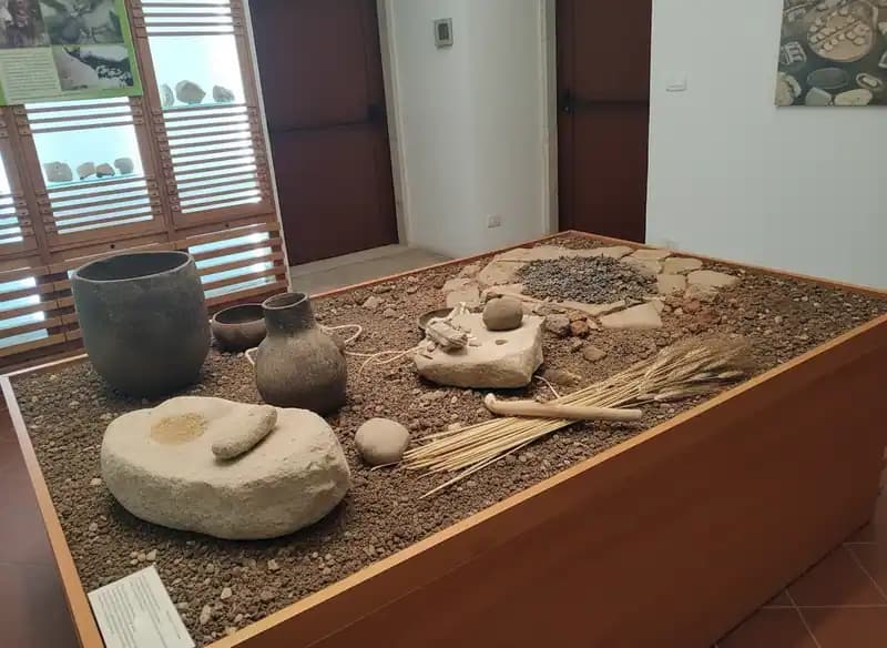 Museo Civico Archeologico del Pulo — Molfetta