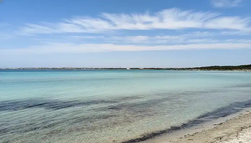 Punta Pizzo Beach — Beach (free-access)