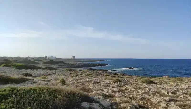 Réserve Naturelle Régionale Orientée Palude del Conte et Duna Costiera - Bosco dell'Arneo — Porto Cesareo