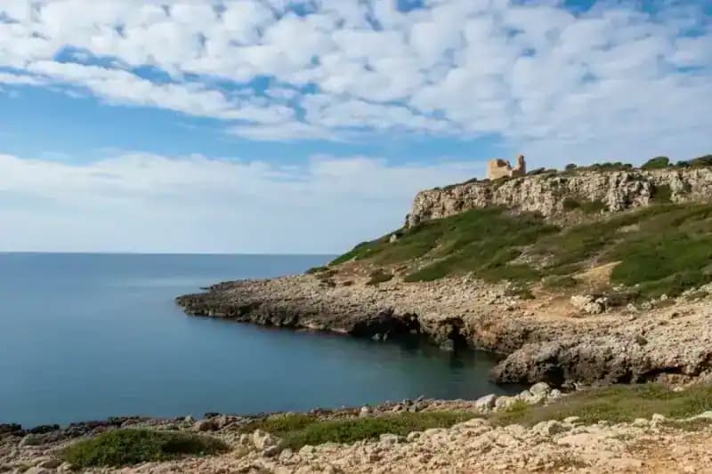 Parco naturale regionale Porto Selvaggio e Palude del Capitano — Festival: Live Music / Concerts