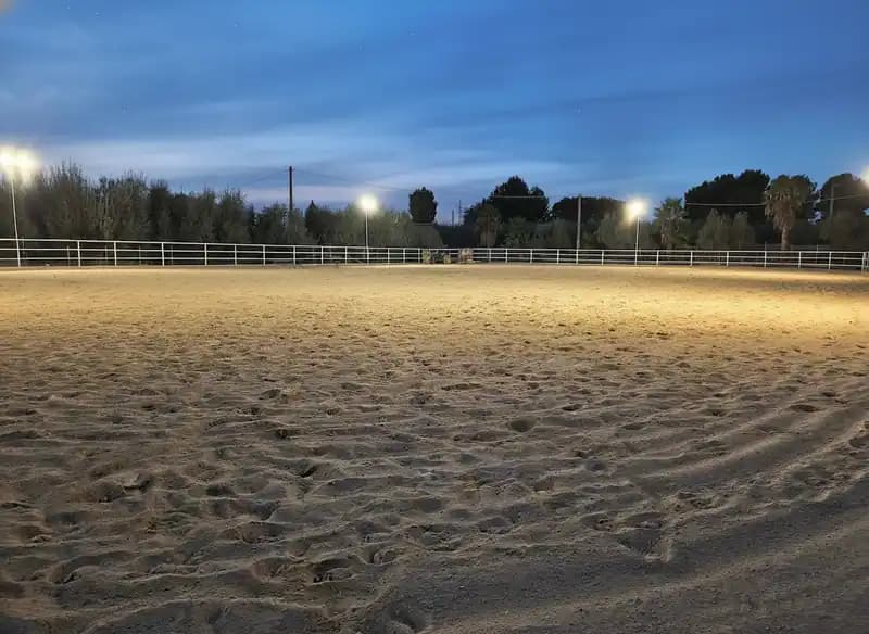 ASD PERAZZO RANCH & MANEGGIO BARLETTA — Barletta