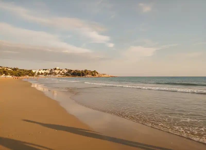 San Lorenzo Beach — Beach (free-access)