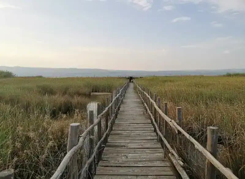 Staatliches Naturschutzgebiet Lesina-See "Sacca Orientale" — Lesina