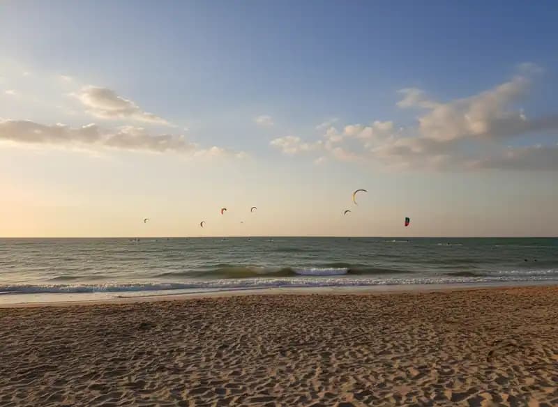 Plage de la Côte Ouest de Ponente — Plage (accès libre)