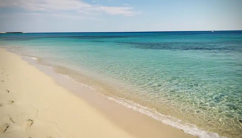 Plage d'Ayala — Plage (accès libre)