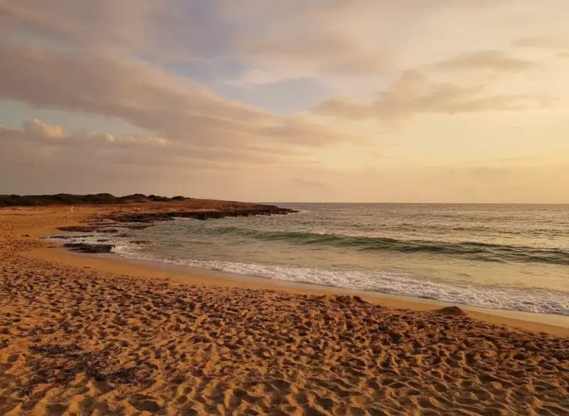 Torre Colimena Beach — Beach (free-access)