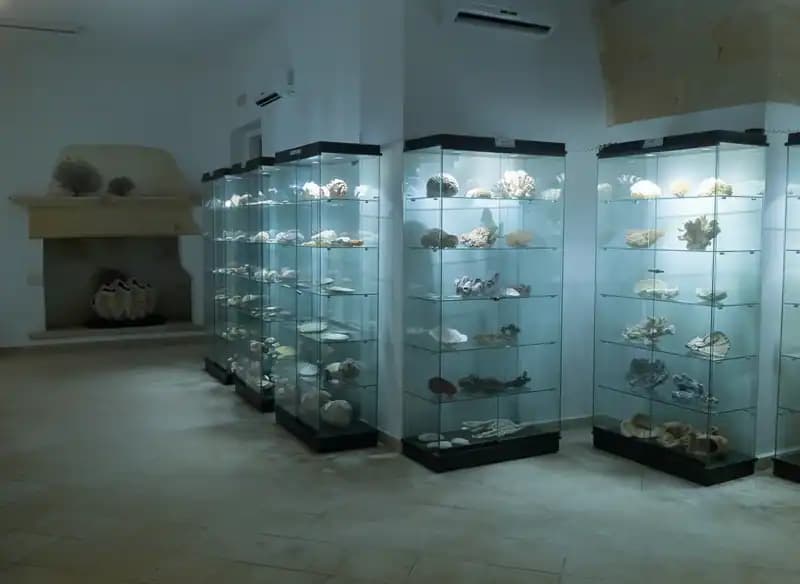 Museo della Conchiglia e del Corallo — Buchpräsentationen