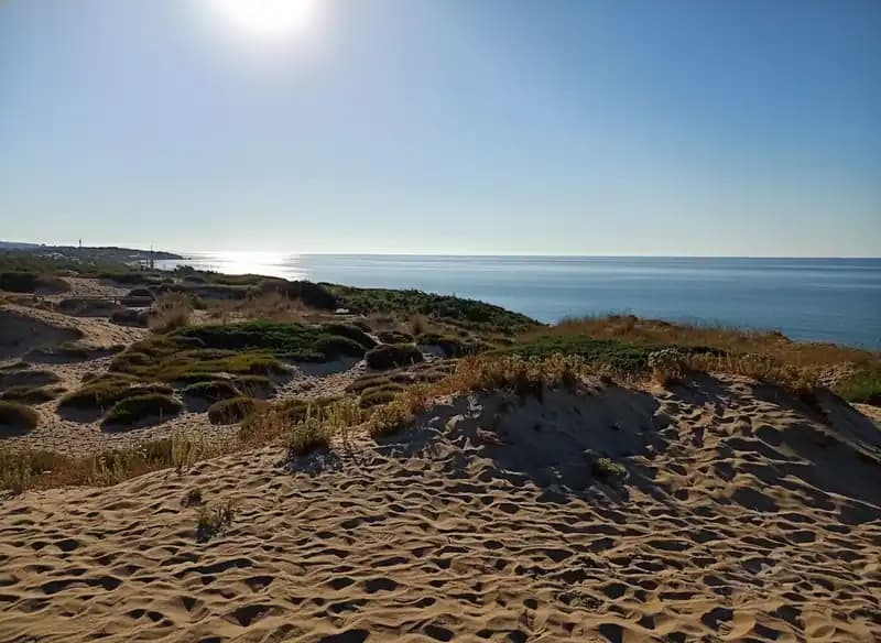 Plage à l'Ouest du port — Plage (accès libre)