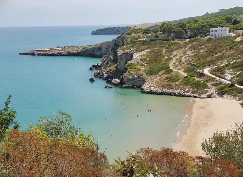 Procinisco Beach — Beach (free-access)