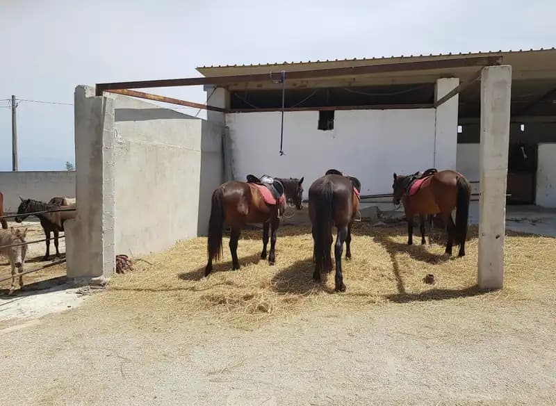 Circolo Ippico Tumara — Otranto